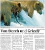 WLZ: Von Storch und Grizzly